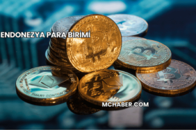 Endonezya Para Birimi