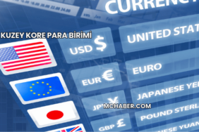 Kuzey Kore Para Birimi