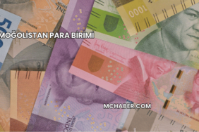 Moğolistan Para Birimi