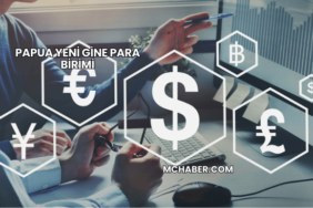 Papua Yeni Gine Para Birimi